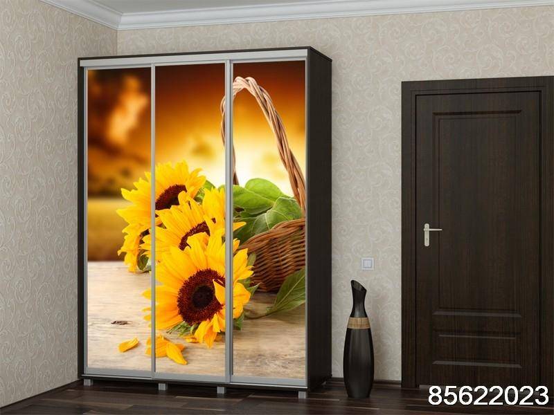 шкаф-купе с фотопечатью цветы в Нижневартовске