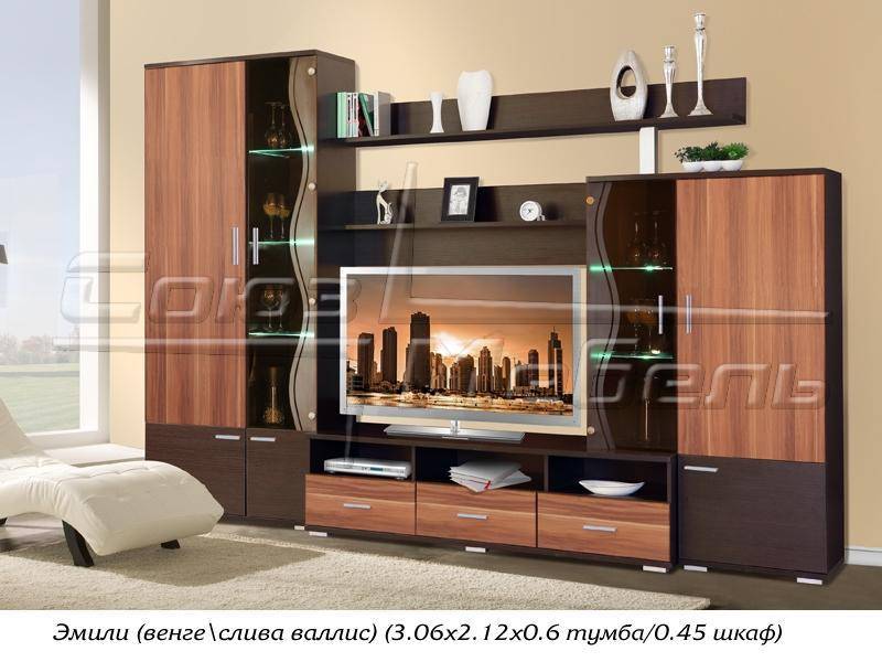гостиная стенка эмили в Нижневартовске
