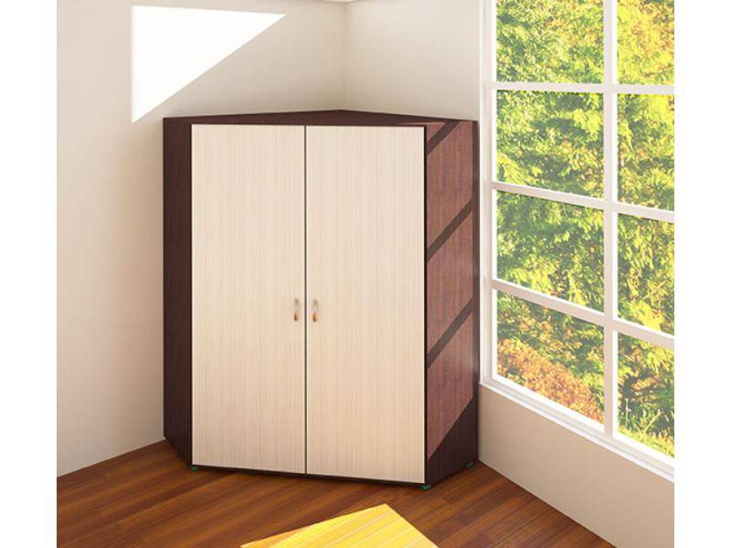 шкаф 2-ух дверный угловой для одежды в Нижневартовске