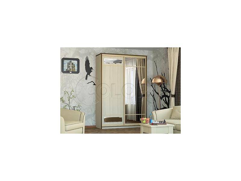 шкаф-купе двухдверный в Нижневартовске