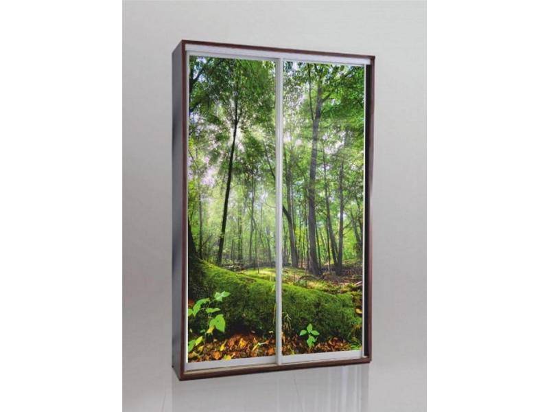 шкаф-купе 2-х створчатый с фотопечатью в Нижневартовске