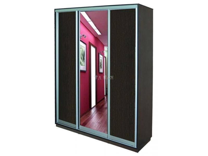 шкаф купе элегант 2 с вставкой из зеркала в Нижневартовске