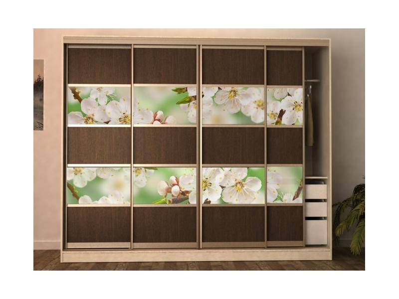 шкаф-купе с фотопечатью в Нижневартовске