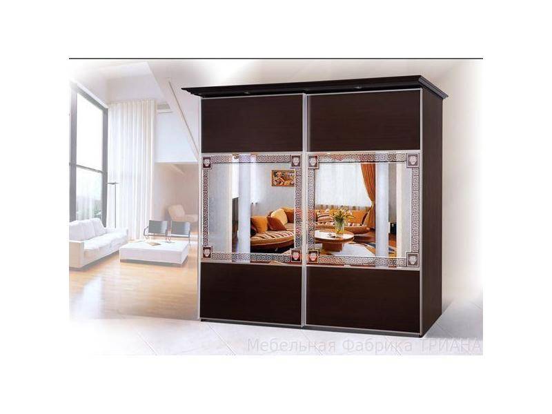 шкаф-купе 2 створки дельта ту в Нижневартовске
