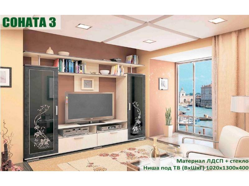 стенка в гостиную соната 3 в Нижневартовске