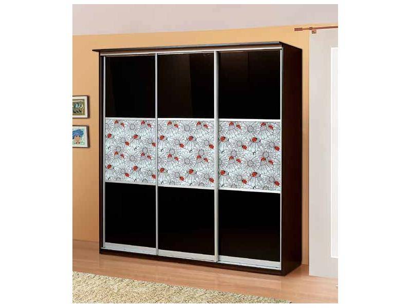 шкаф-купе божьи коровки в Нижневартовске