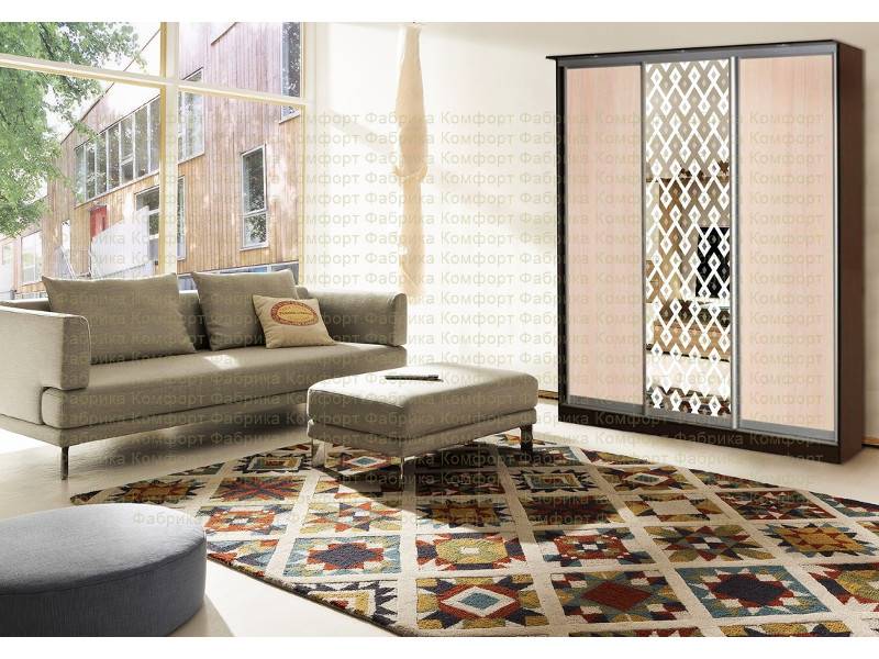 шкаф-купе аристо 30 в Нижневартовске