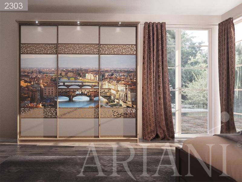 шкаф-купе с фотопечатью и зеркалом ди сопра в Нижневартовске