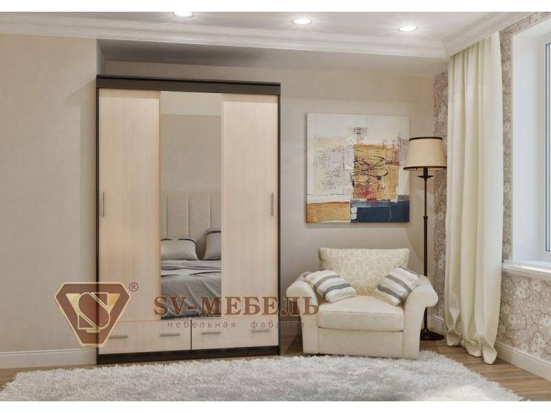 простой функциональный шкаф-купе 5 в Нижневартовске