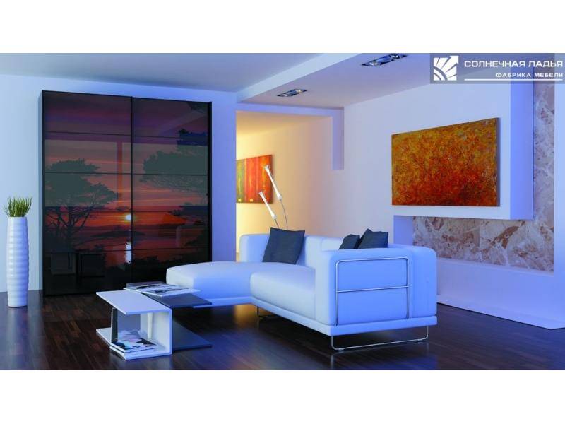 шкаф - купе для гостиной 41 в Нижневартовске