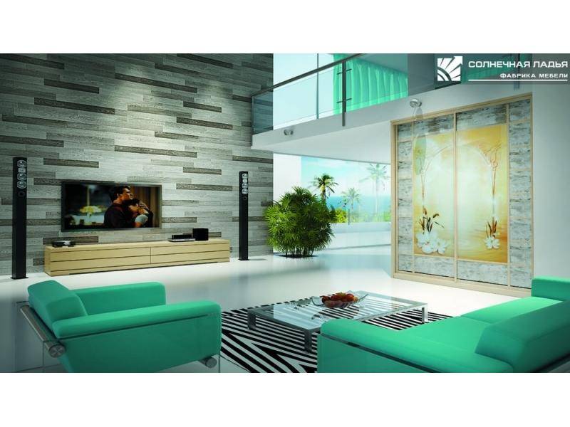 шкаф - купе для гостиной 32 в Нижневартовске