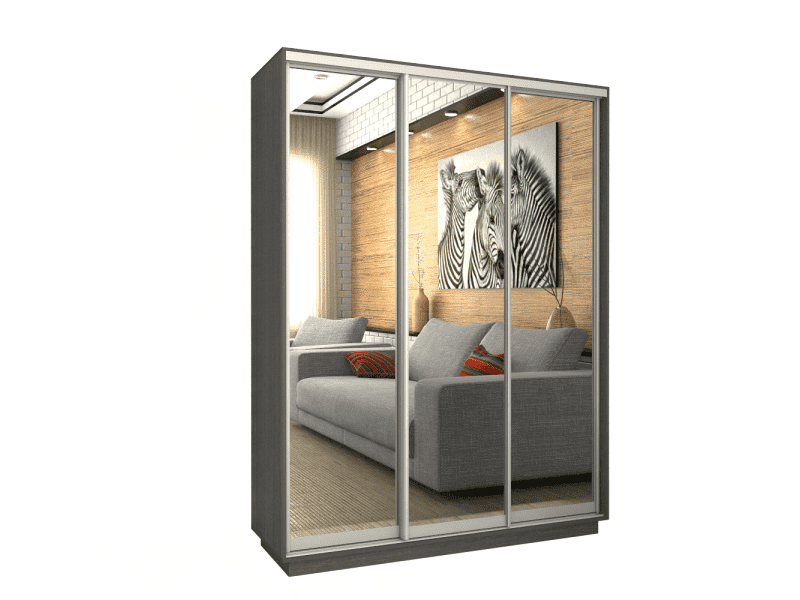 шкаф-купе п-19 система рамир в Нижневартовске