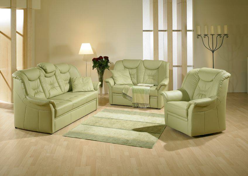 двухместный кожаный диван vanessa в Нижневартовске