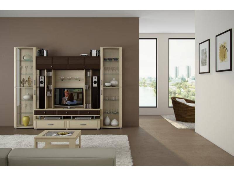 гостиная стенка эстетика 12 в Нижневартовске