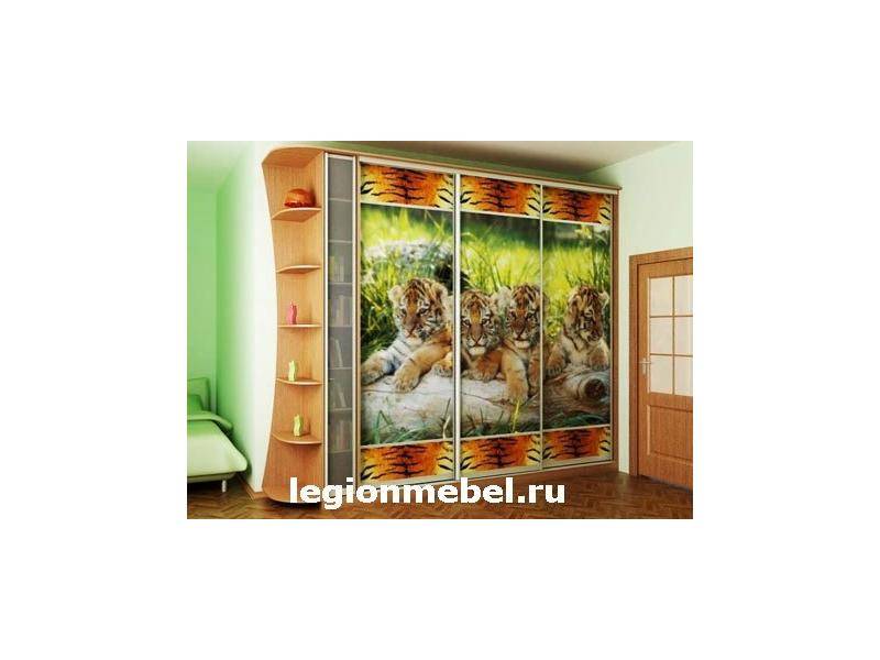 шкаф-купе с фотопечатью в Нижневартовске