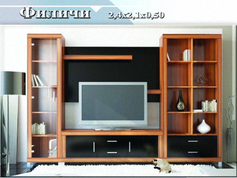 стенка «филичи» в Нижневартовске