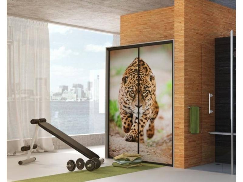 шкаф - купе фотопечать в Нижневартовске