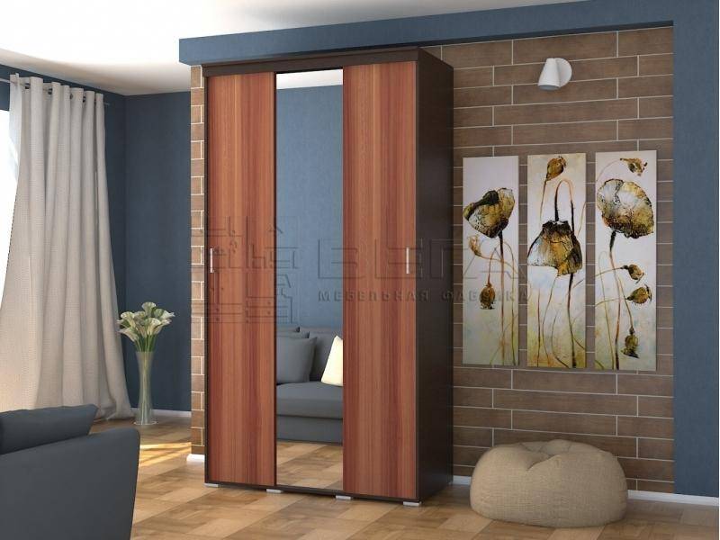 шкаф-купе 3-х створчатый клио 1 в Нижневартовске