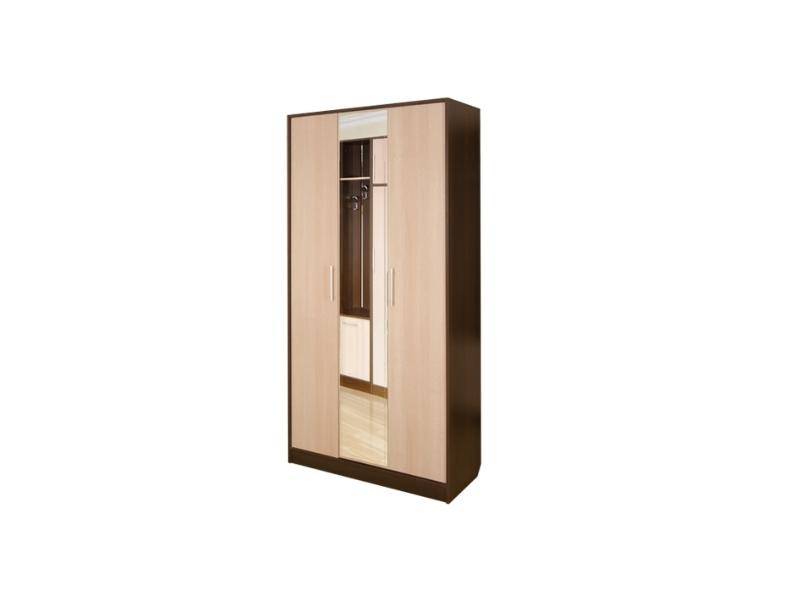 шкаф с зеркалом софия секция 10 в Нижневартовске