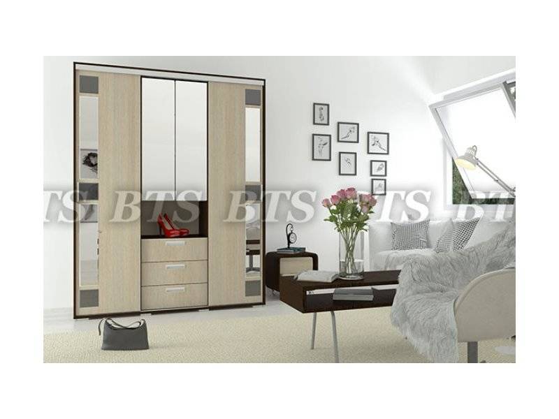 шкаф-купе маэстро 3 в Нижневартовске