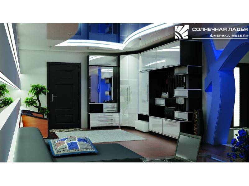 шкаф - купе угловой 25 в Нижневартовске