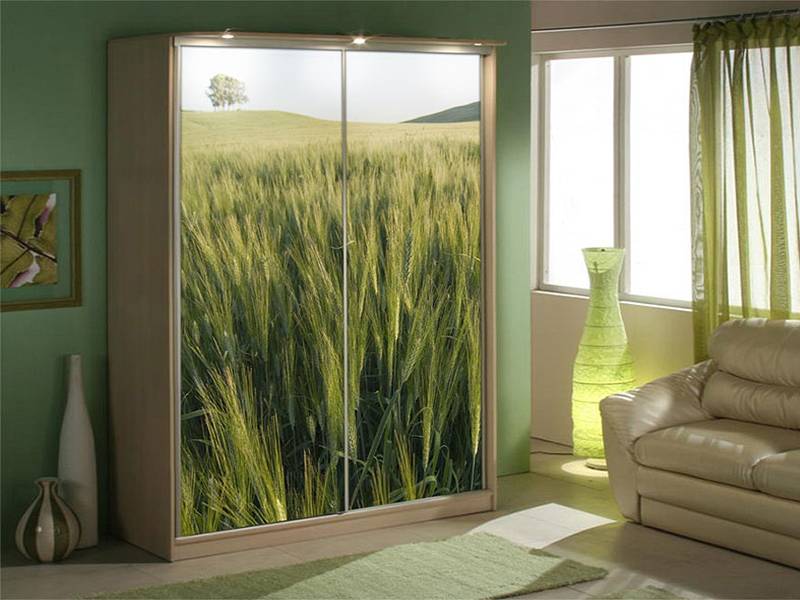 шкаф-купе 6 фотопечать в Нижневартовске