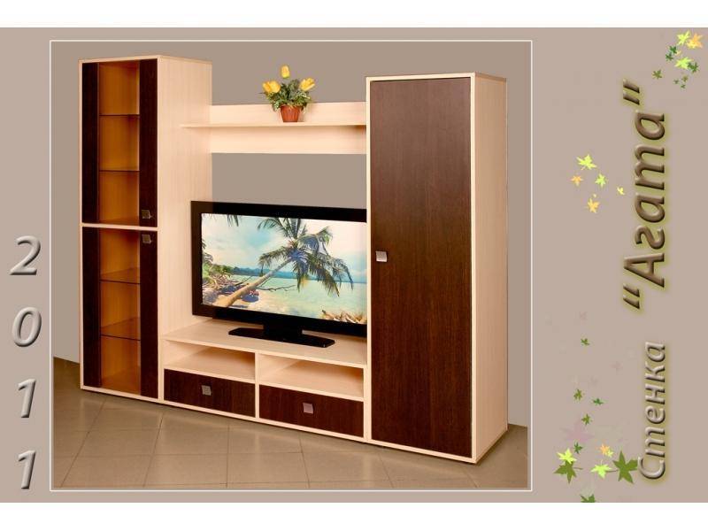 гостиная стенка агата в Нижневартовске