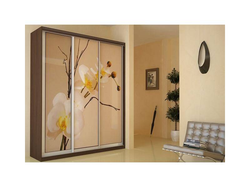 шкаф-купе в Нижневартовске