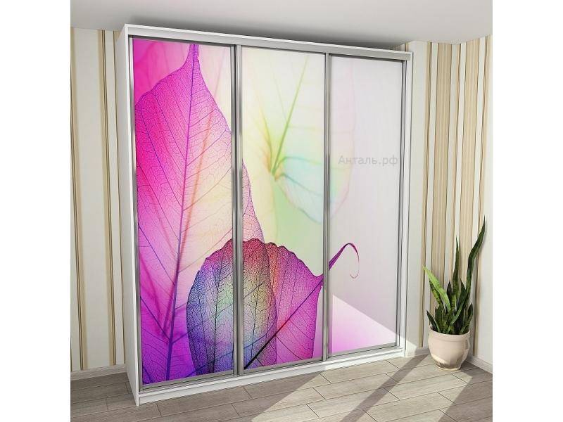 шкаф-купе фотопечать в Нижневартовске