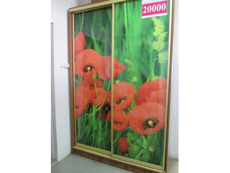 шкаф-купе 00002 в Нижневартовске