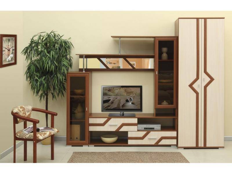 гостиная стенка «элегант 5» в Нижневартовске