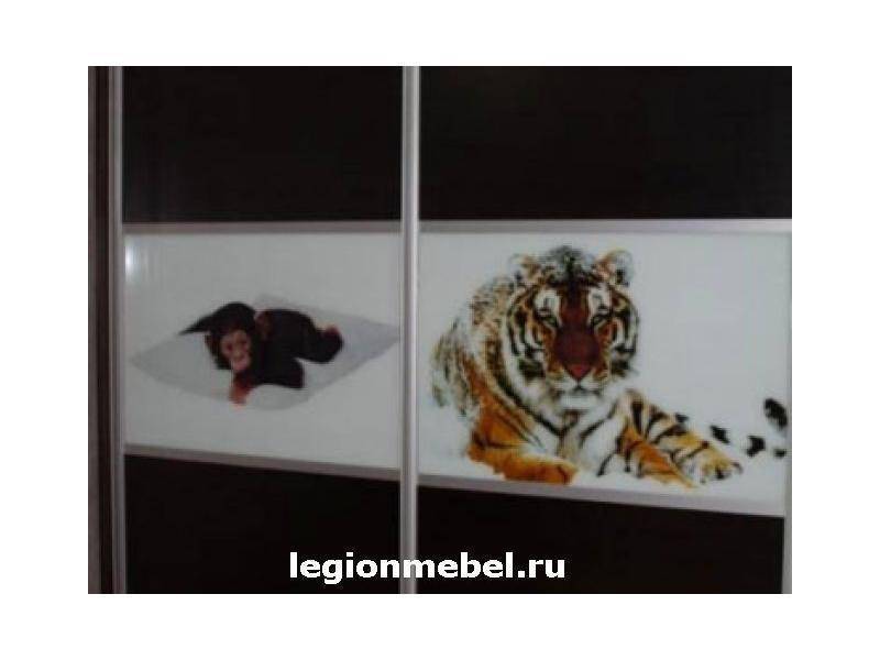 темный шкаф-купе с фотопечатью в Нижневартовске