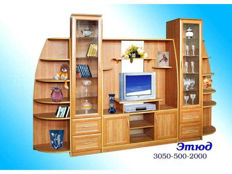 гостиная стенка этюд в Нижневартовске