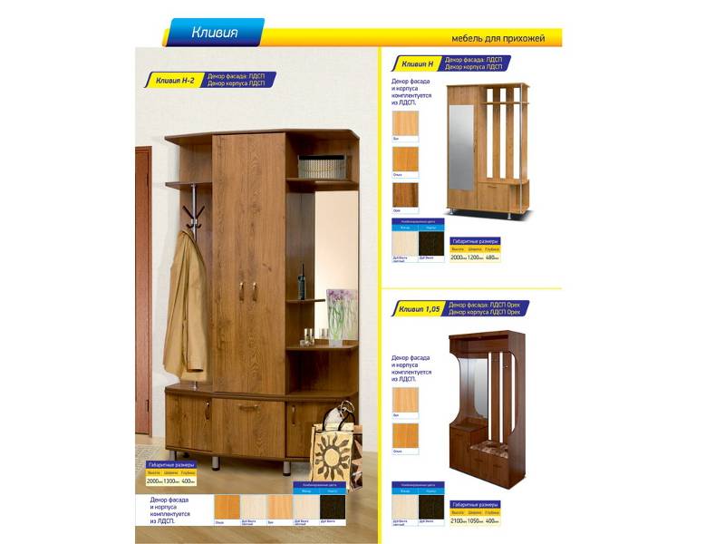 прихожая кливия в Нижневартовске