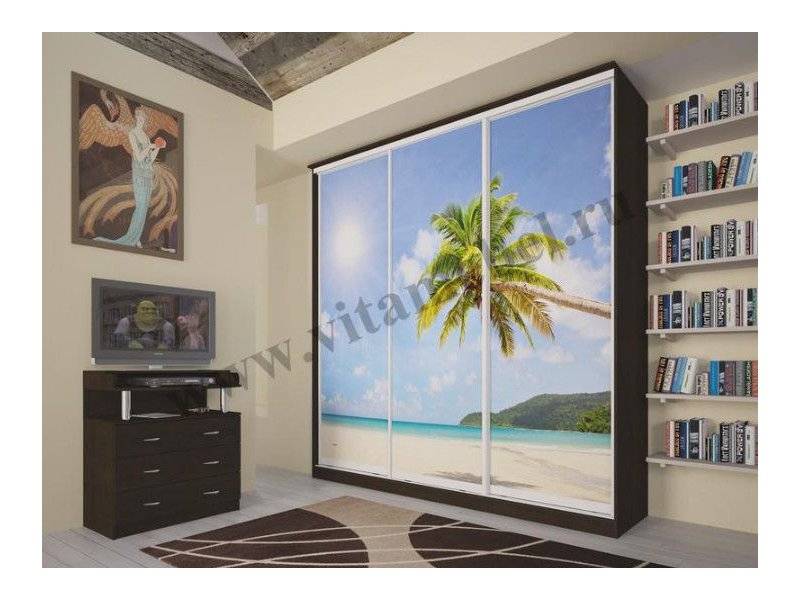 шкаф-купе с фотопечатью в Нижневартовске