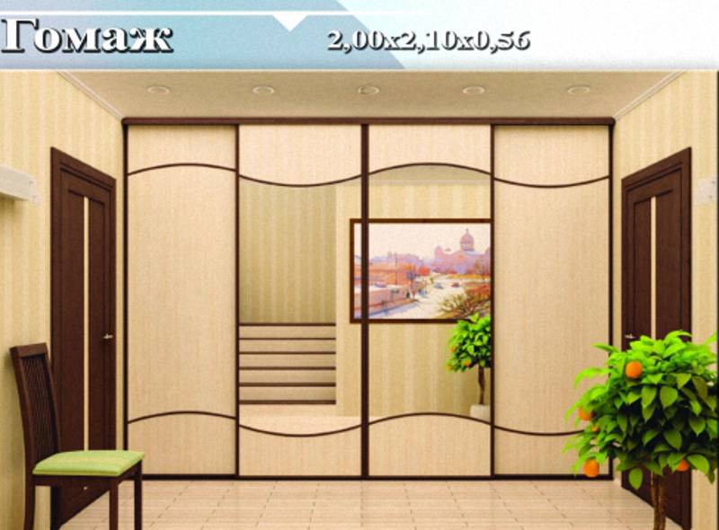 шкаф-купе «гомаж» в Нижневартовске