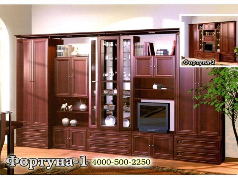 гостиная стенка фортуна-1 в Нижневартовске