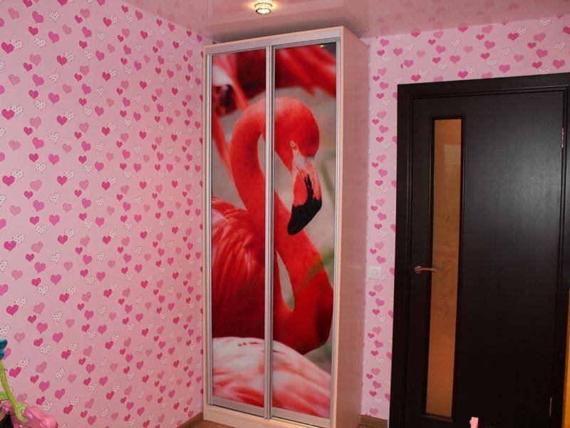 надежный шкаф-купе с фотопечатью фламинго в Нижневартовске
