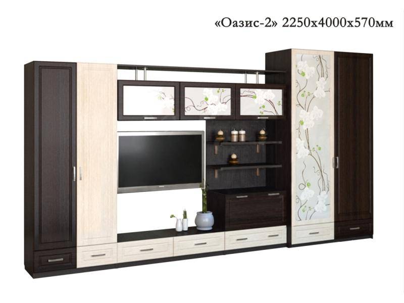 гостиная стенка оазис-2 в Нижневартовске