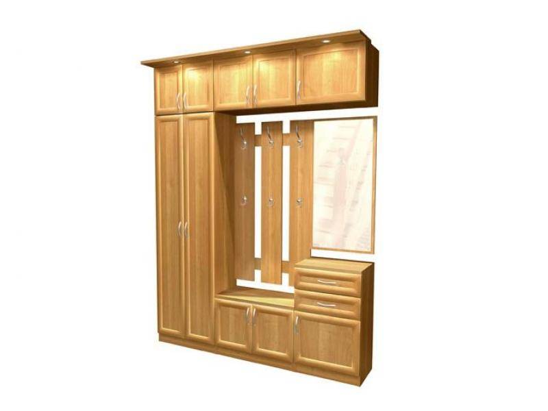 прихожая визит лдсп в Нижневартовске