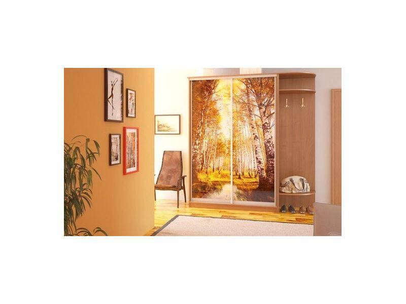 красивый шкаф-купе в прихожую с фотопечатью в Нижневартовске