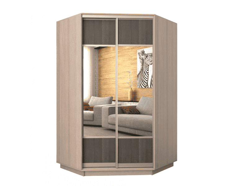 шкаф-купе п-21 система рамир в Нижневартовске