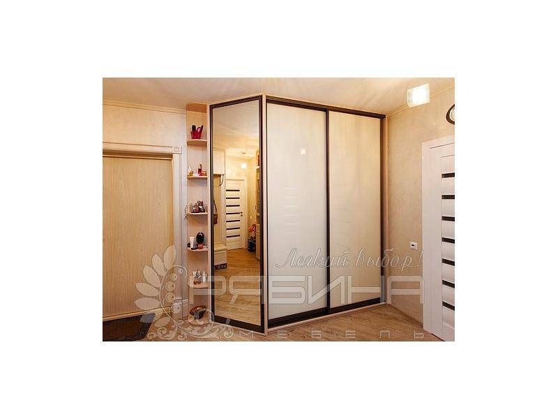 комбинированный шкаф-купе амстердам в Нижневартовске