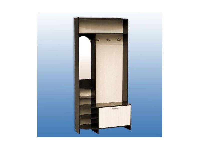 шкаф для прихожей-1 в Нижневартовске