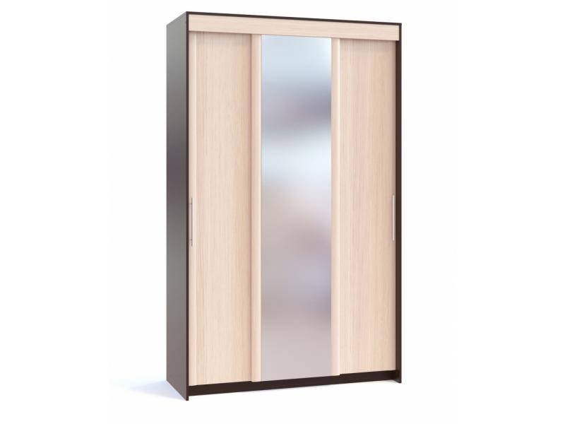 шкаф-купе контур шр-156.3 с зеркалом в Нижневартовске