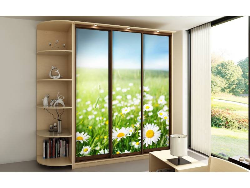 шкаф-купе 1 в Нижневартовске