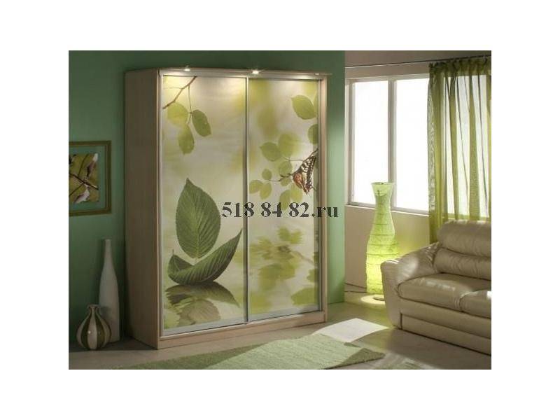 шкаф-купе с фотопечатью в Нижневартовске