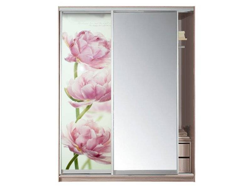 шкаф-купе 2-х дверный с зеркалом с фотопечатью в Нижневартовске