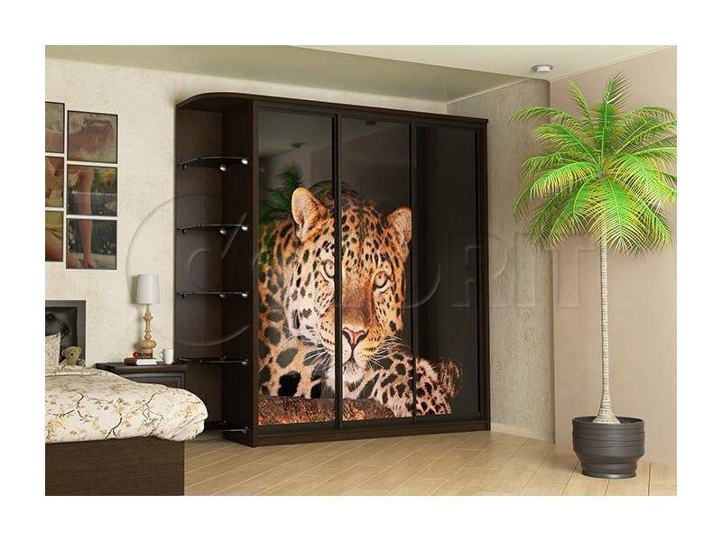 шкаф-купе трехдверный в Нижневартовске