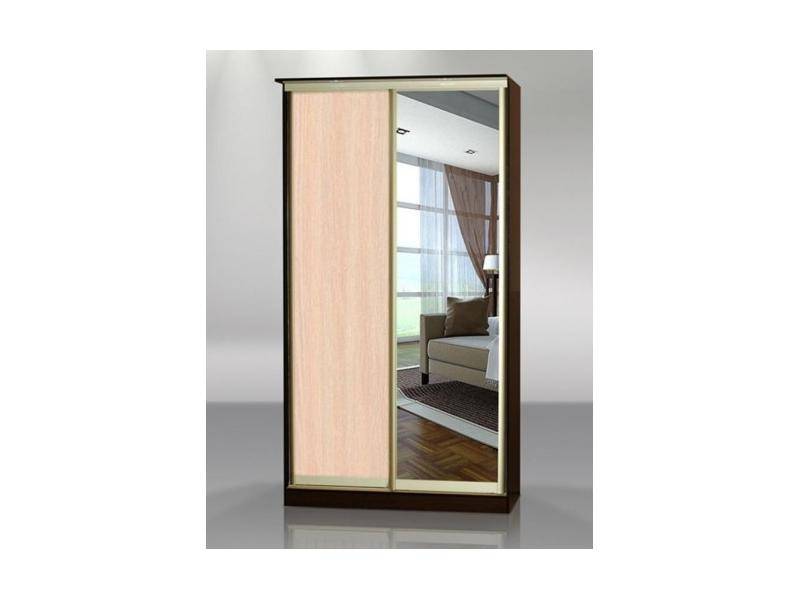 шкаф-купе 2 створки с зеркалом №4 в Нижневартовске